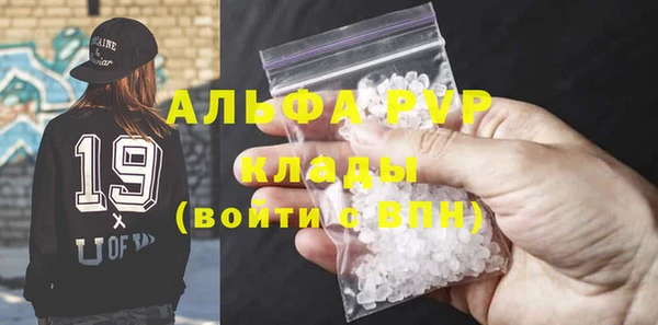 сатива Дегтярск