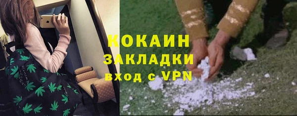 сатива Алзамай