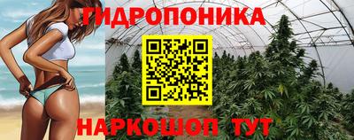 стаф Жуковский