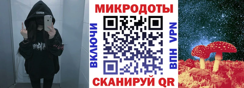 Галлюциногенные грибы Psilocybe  где продают наркотики  Ленинск-Кузнецкий 
