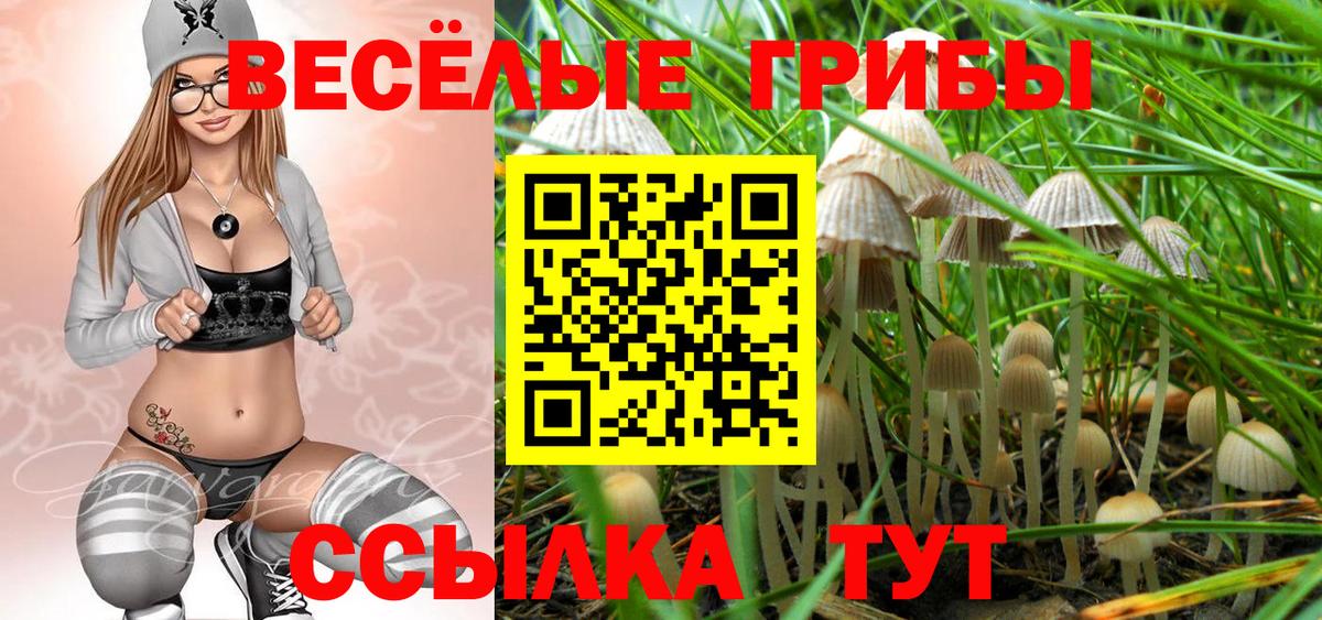 Ленинск-Кузнецкий  Псилоцибиновые грибы GOLDEN TEACHER  Вход с VPN 