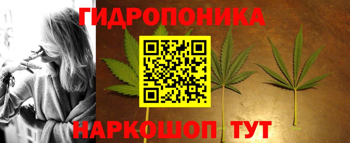 Конопля MAZAR  Канабис тримм  Ленинск-Кузнецкий  Вход с VPN  Марихуана MAZAR  Каннабис конопля 